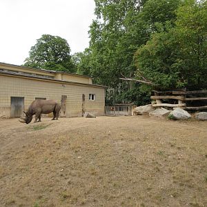 Black Rhino Exhibit