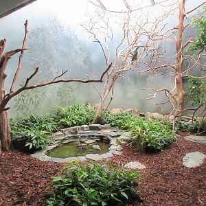 Bird House - Visayan Tarictic Hornbill Aviary