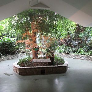 Bird House - free-flight aviary