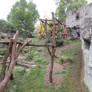 Andean Bear/Bush Dog Exhibit (superb!)
