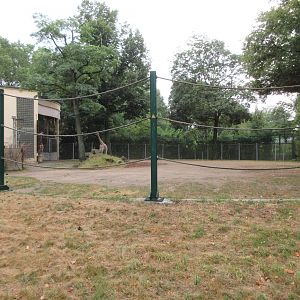 Reticulated Giraffe Exhibit