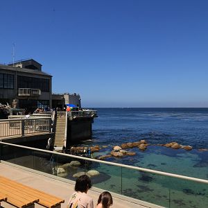 Outside View (June 2019)