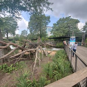 Jul. 2019 - New! Texas Wetlands - Bald Eagle Exhibit