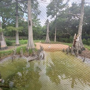 Jul. 2019 - New! Texas Wetlands - Whooping Crane Exhibit