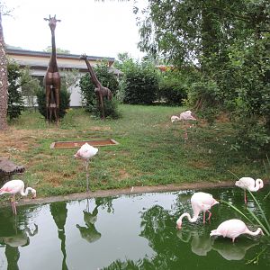 Greater Flamingos + Giraffe Statues
