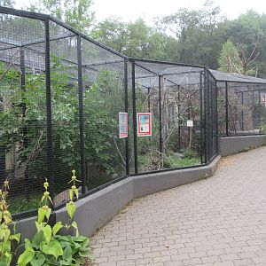 Various Aviaries