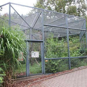 South America House - Emperor Tamarin Exhibit