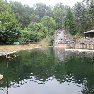 Harbour Seal Exhibit