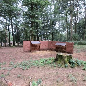 8.5-Acre Kangaroo/Wallaby/Emu Exhibit
