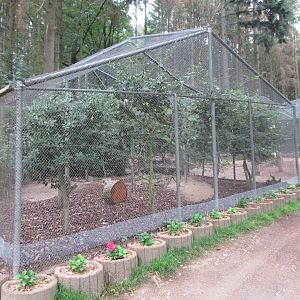 Golden Pheasant Exhibit