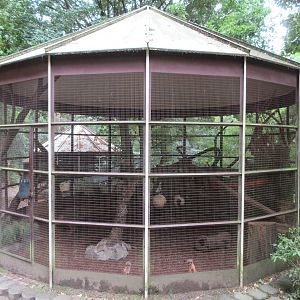 Siberian Weasel Exhibit
