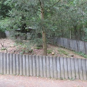 European Badger Exhibit