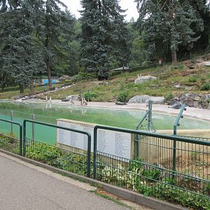 Humboldt Penguin Exhibit