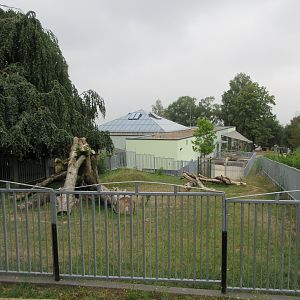 South America House - Lowland Tapir/Giant Anteater Exhibit