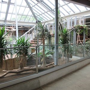 South America House - Dwarf Mara Exhibit