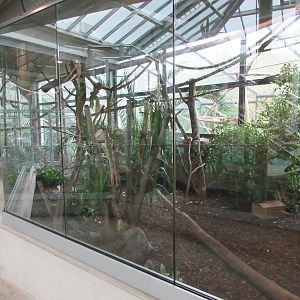 South America House - Tayra Indoor Exhibit