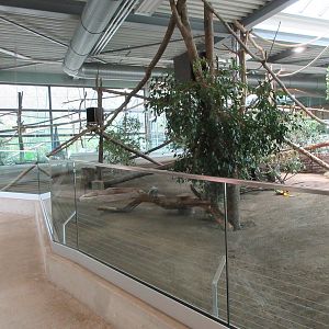 South America House - Lowland Paca/Southern Tamandua Exhibit