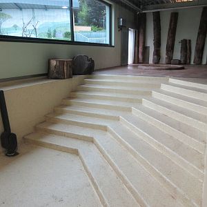South America House - Lowland Tapir Exhibit (drained pool)
