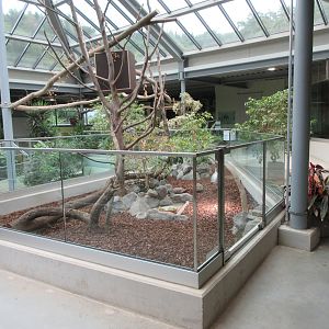 South America House (New in 2018)