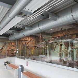 South America House - Primate Exhibits