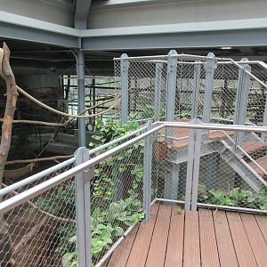 South America House (New in 2018)