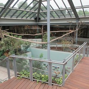 South America House (New in 2018)