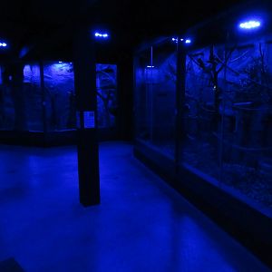 South America House (New in 2018)