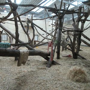 Chimpanzee Indoor Exhibit (ground floor view)
