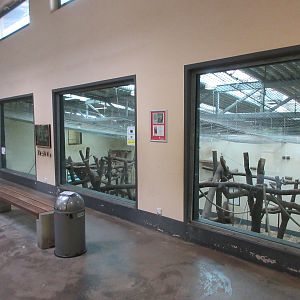 Chimpanzee Indoor Exhibit (upper floor view)