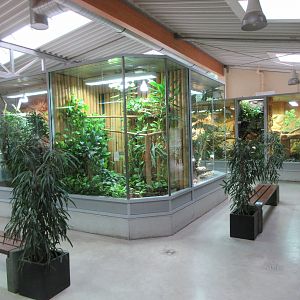 Exotarium - superb reptile terrariums