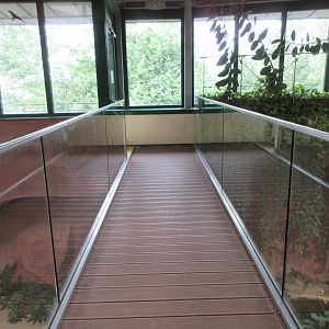 Exotarium - walkway over Spectacled Caiman pool