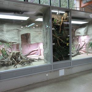 Exotarium - superb reptile terrariums
