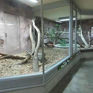 Exotarium - Reticulated Python Exhibit