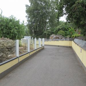 Meerkat + Indian Crested Porcupine Exhibits