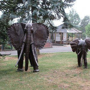 Elephant Statues