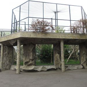 South America House - Brown Spider Monkey Exhibit