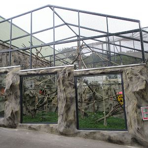 South America House - Bolivian Squirrel Monkey Exhibit