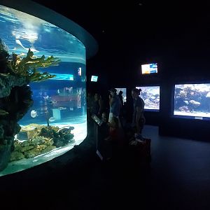 Jul. 2019 - Kipp Memorial Aquarium