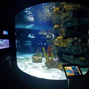 Jul. 2019 - Kipp Memorial Aquarium