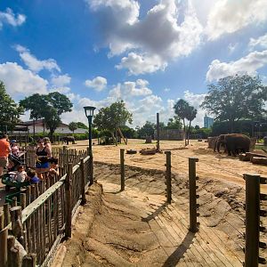 Jul. 2019 - McNair Elephant Habitat - 50,000 sq ft Asian Elephant Left Yard