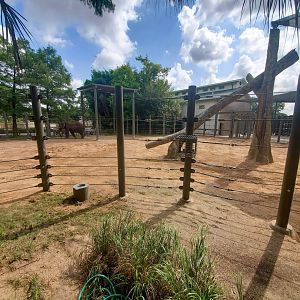 Jul. 2019 - McNair Elephant Habitat - 0.75 Acre Bachelor Yard