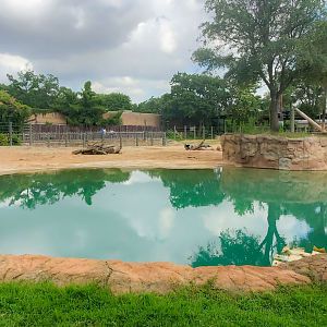 Jul. 2019 - McNair Elephant Habitat - 1 Acre Asian Elephant Left Yard - Pool