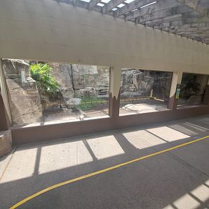 Jul. 2019 - Reptile & Amphibian House - Outdoor Grand Cayman Blue Iguana Exhibit