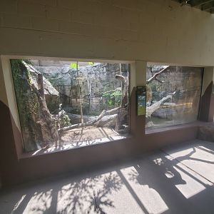 Jul. 2019 - Reptile & Amphibian House - Crocodile Monitor Exhibit