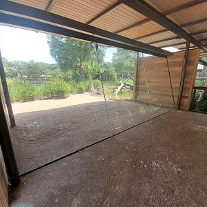 Jul. 2019 - New! Texas Wetlands - American Alligator Exhibit