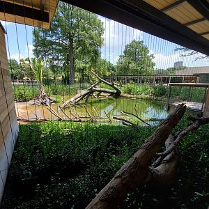 Jul. 2019 - New! Texas Wetlands - American Alligator Exhibit