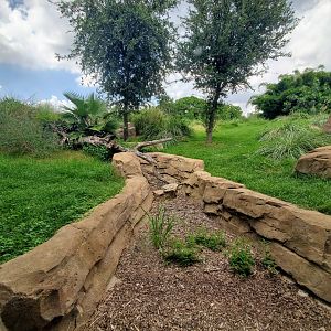 Jul. 2019 - African Forest - Gorilla Exhibit - Left Side
