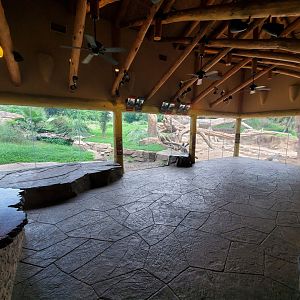 Jul. 2019 - African Forest - Gorilla/Red River Hog Exhibit - Left View