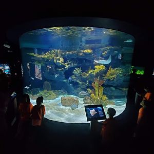 Jul. 2019 - Kipp Memorial Aquarium