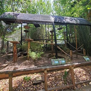 Jul. 2019 - World of Primates - Coquerel's Sifaka/Crowned Lemur/Radiated Tortoise Exhibit